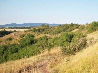 Chemin sur les coteaux