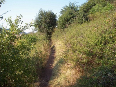 Chemin étroit après la Roche