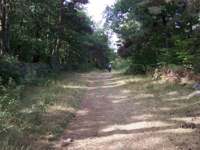 Beau chemin avant Saint Christophe sur Dolaison