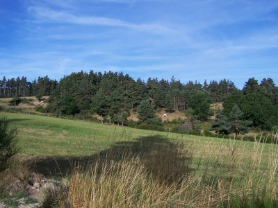 Beau paysage de la Margeride après Saugues