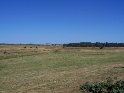 Plateau de l'Aubrac 2